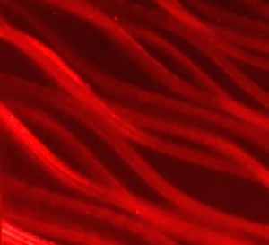 Beautiful red hot metal pivot door finish