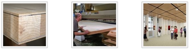 True flat large entrance doors 50 year non warp guarantee pivot doors lightweight high strength honeycomb panels