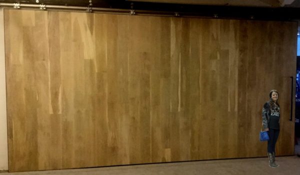 Extra Wide Door