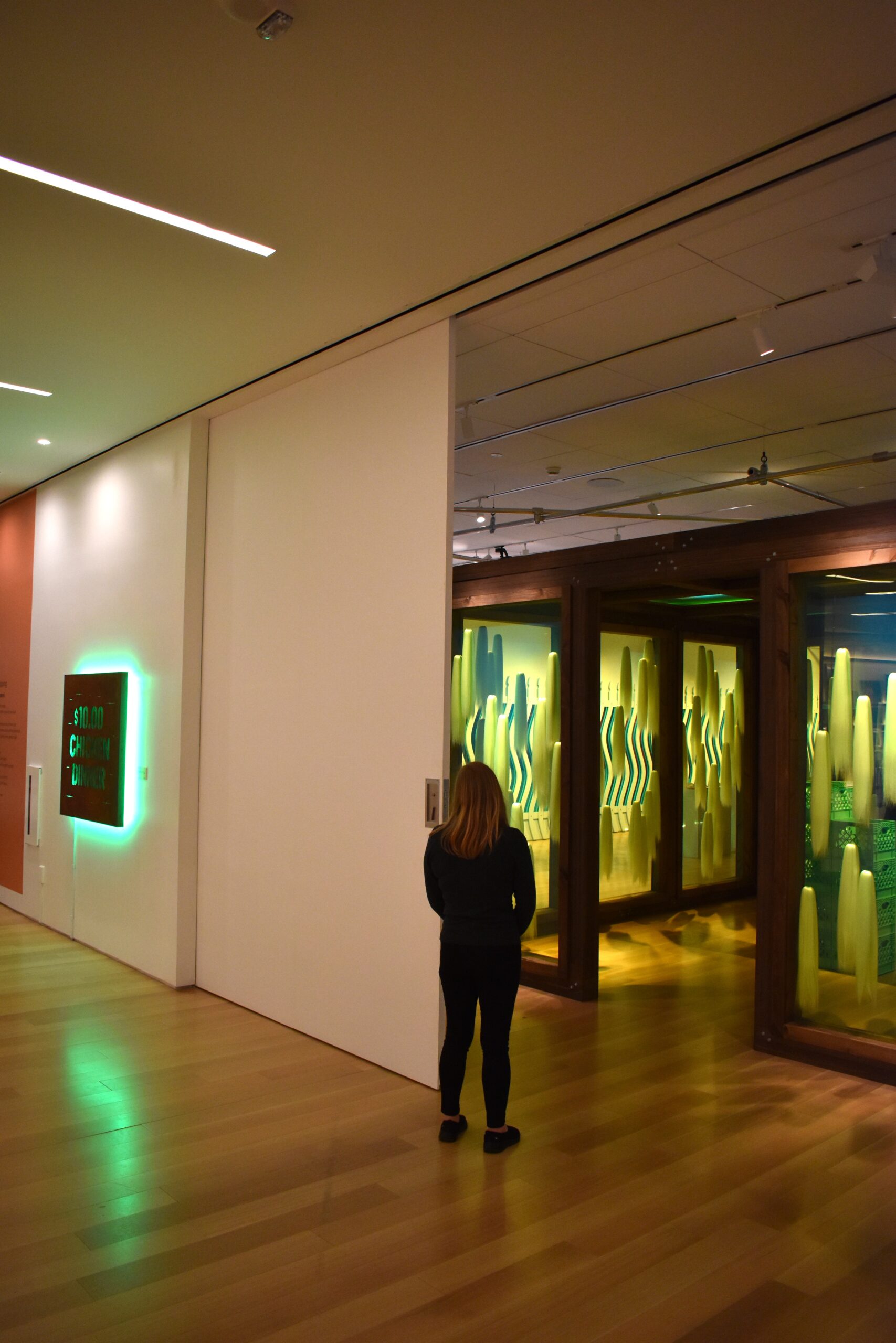 Sliding Museum Door