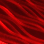Beautiful red hot metal pivot door finish